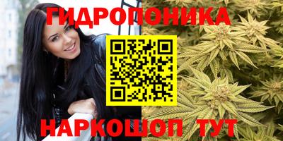 круглые Камышлов