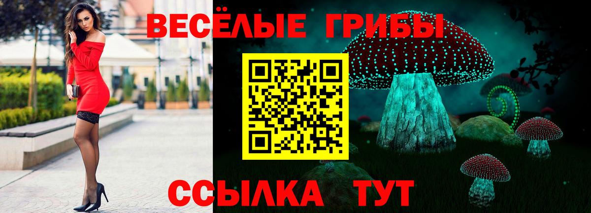 даркнет сайт  Вход с VPN  Владивосток  Псилоцибиновые грибы прущие грибы  Псилоцибиновые грибы GOLDEN TEACHER 